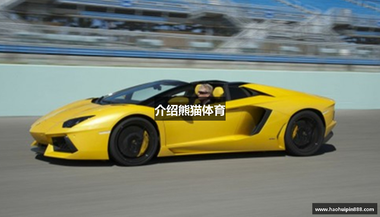 介绍熊猫体育